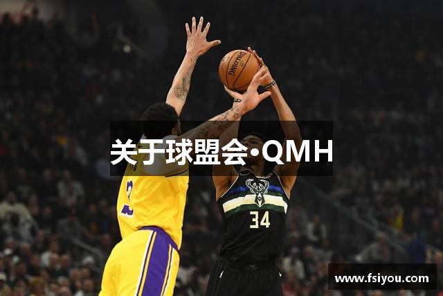 关于球盟会·QMH